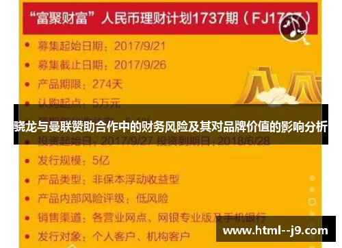 骁龙与曼联赞助合作中的财务风险及其对品牌价值的影响分析
