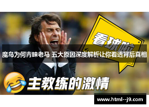 魔鸟为何青睐老马 五大原因深度解析让你看透背后真相